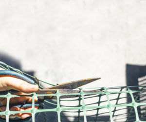 Gardening in action. Cutting mesh for fencing. Close up